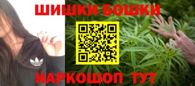 индика Тверь