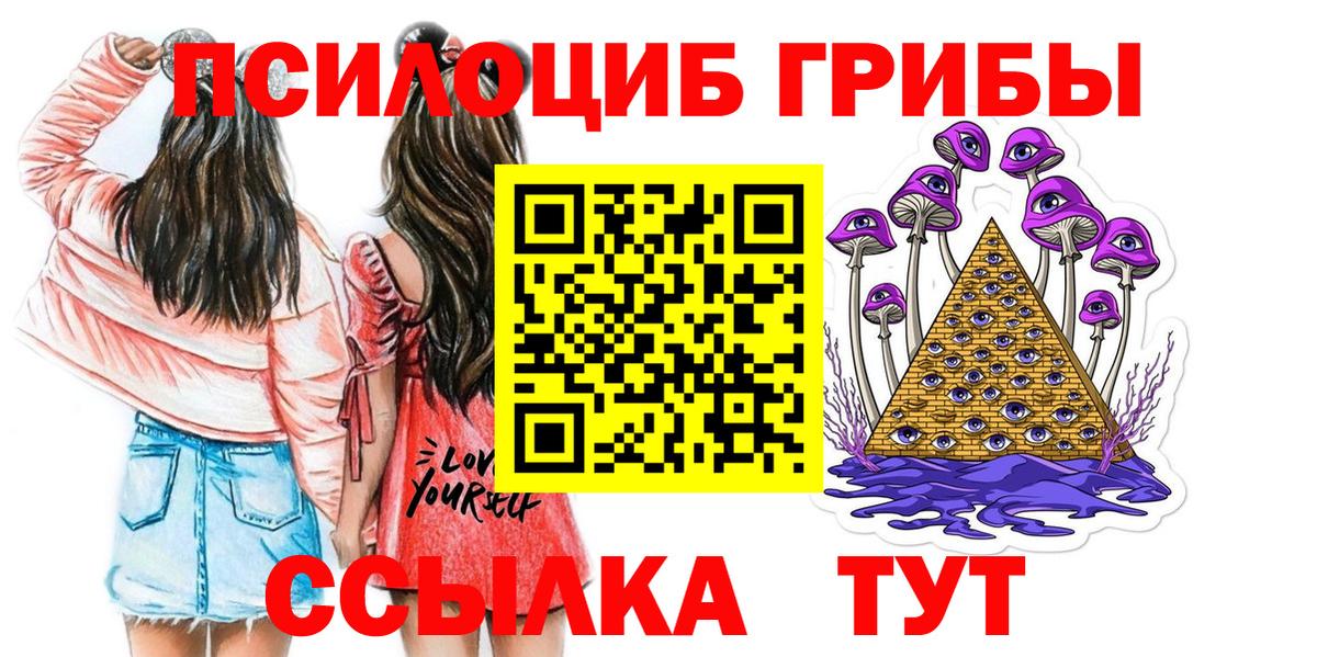 купить  сайты  Вход с VPN  Ногинск  Галлюциногенные грибы Psilocybine cubensis 